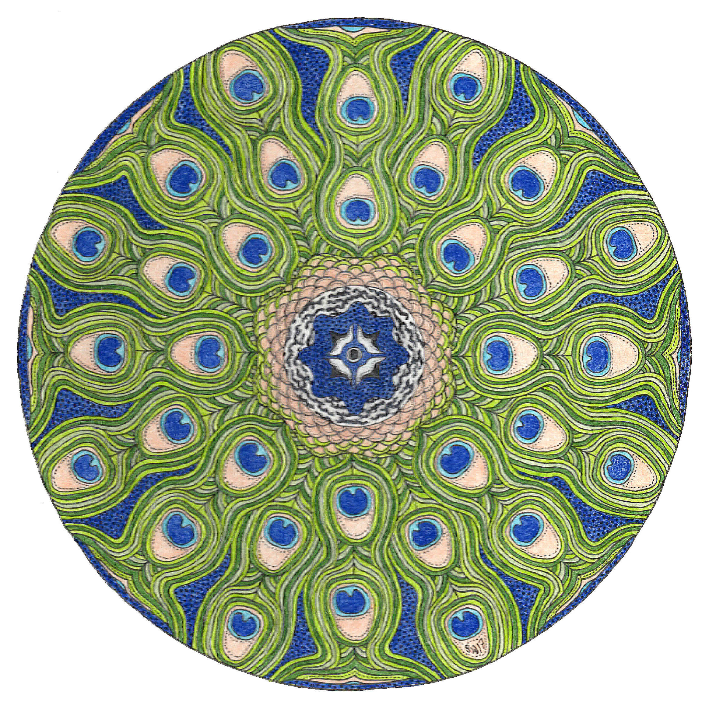 Peacock Cataract Gorge Tasmania 2017