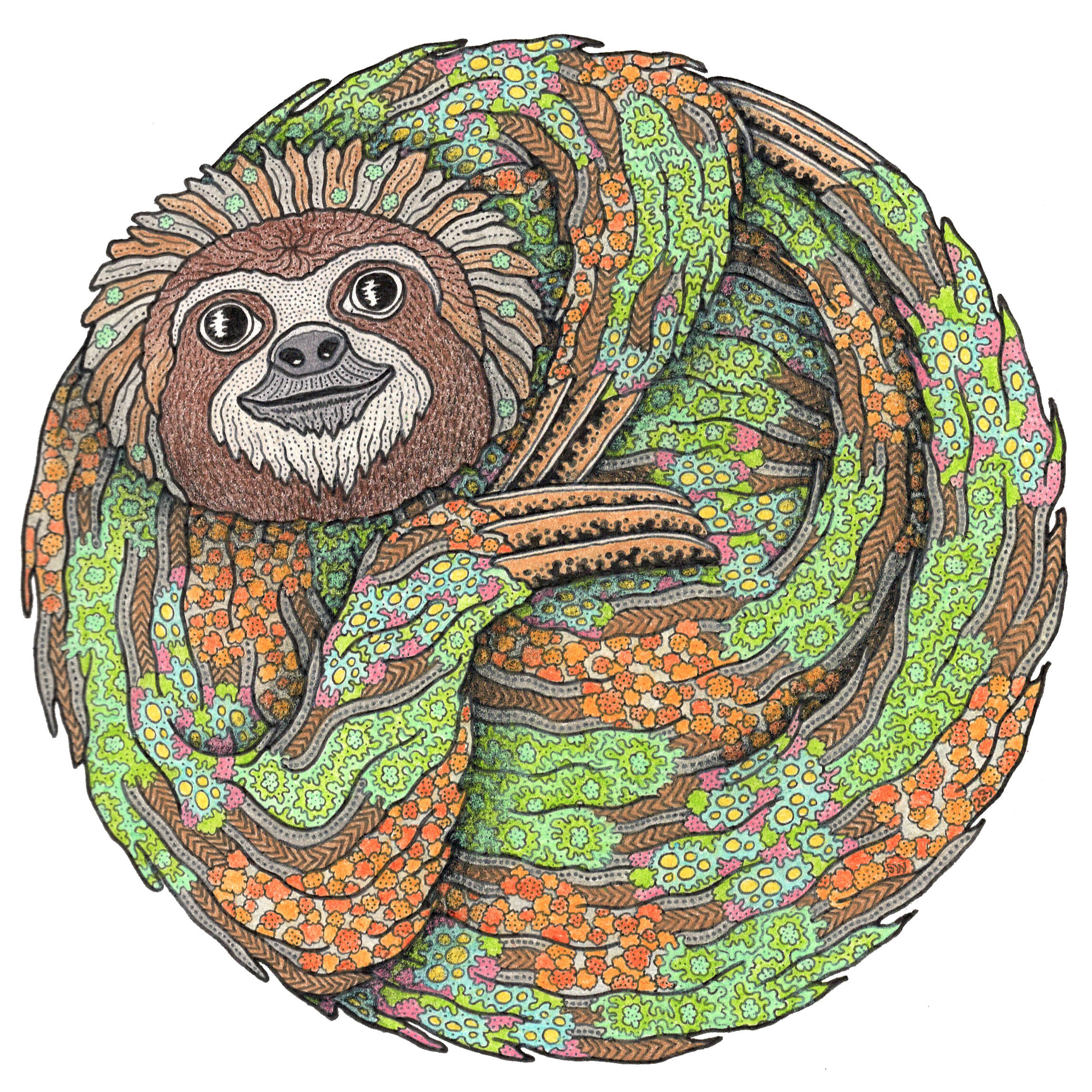 Three-toed Sloth 2021 - Copy