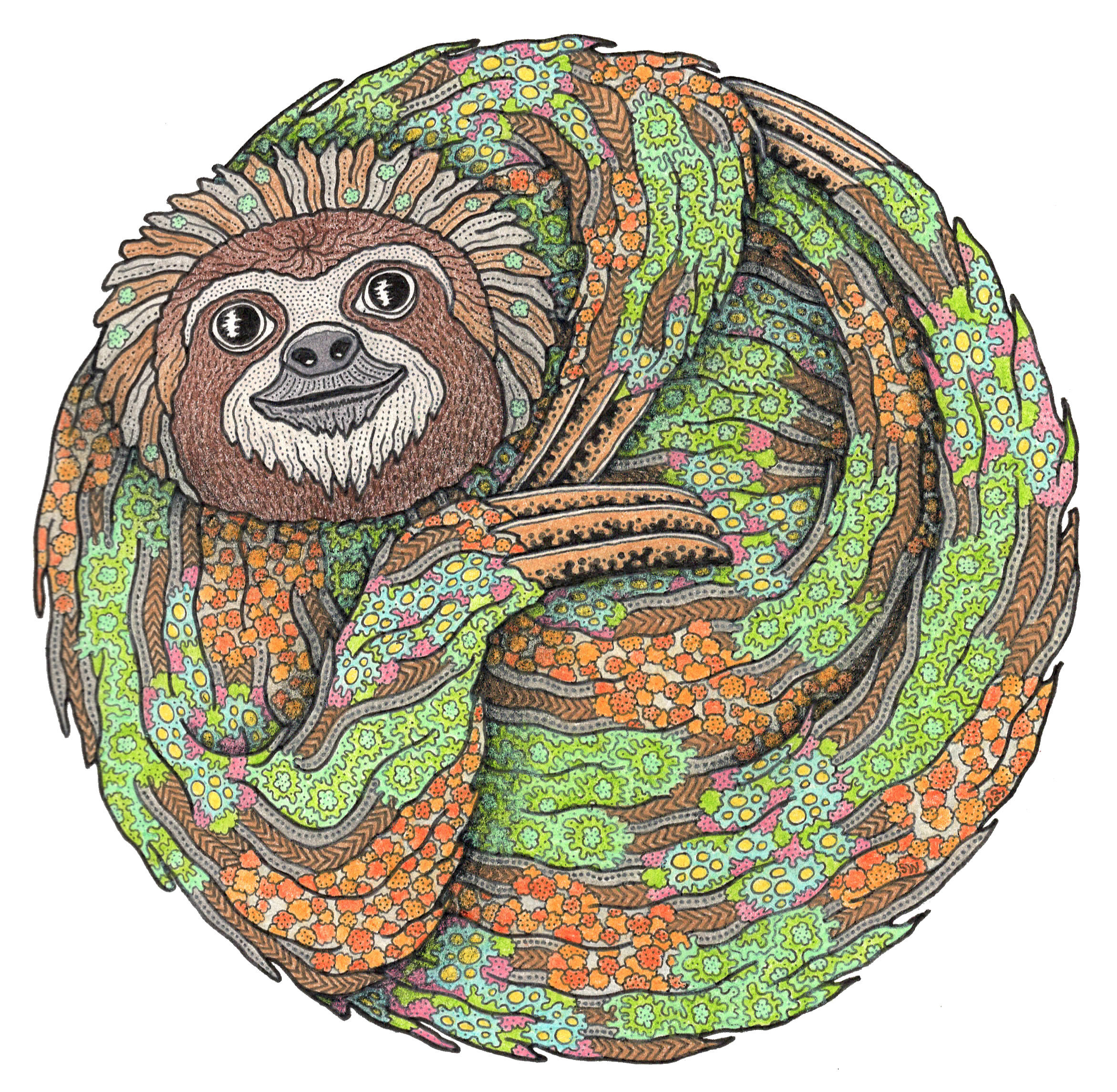 Three-toed Sloth 2021 - Copy